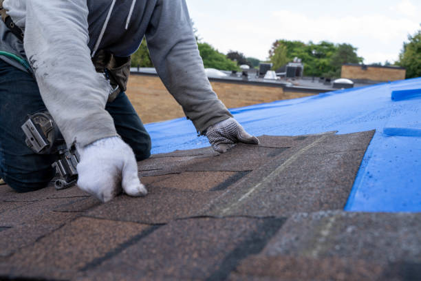 Best Local Roofing Companies  in Kermit, TX